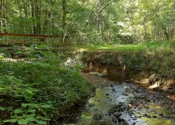 Barren River Lake State Resort Park hotel thumbnail 2