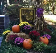 The Lion and the Rose B&B hotel detail image 4
