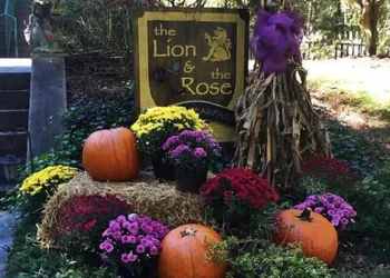 The Lion and the Rose B&B hotel thumbnail 4