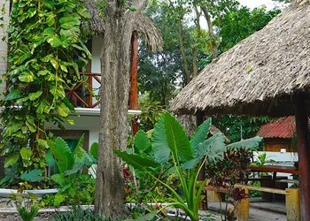 Hotel Pancho Villas hotel thumbnail 6