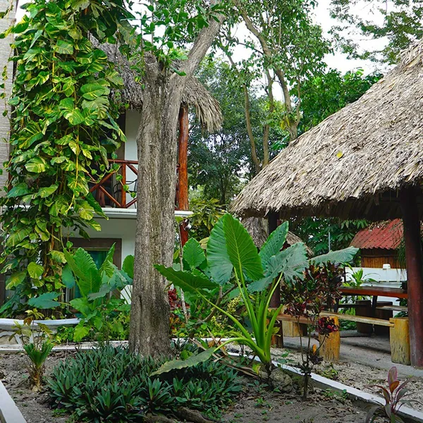 Pancho Villas Bacalar hotel detail image 6