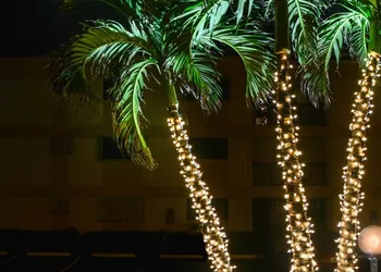 Sea Cliff Motel hotel thumbnail 7