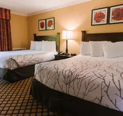 The Lakeview Hotel, Shanty Creek Resort hotel detail image 4