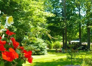 The Saugatuck Retro Resort Motel hotel thumbnail 6