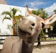 Sandos Caracol Nature Resort & Water Park All Inclusive hotel detail image 4