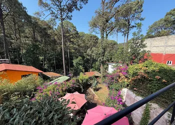 Encino House Hotel Boutique hotel thumbnail 6