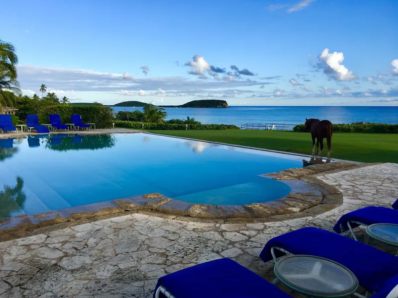 Blue Horizon Boutique Resort - Adults Only hotel detail image 6