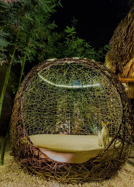 Solera Tulum with Pool hotel detail image 6