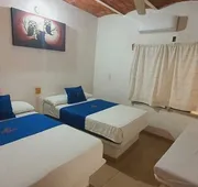 Tropical Suite hotel detail image 7