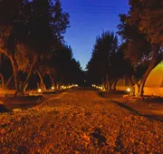 Guadalupe Valle Glamping hotel detail image 7