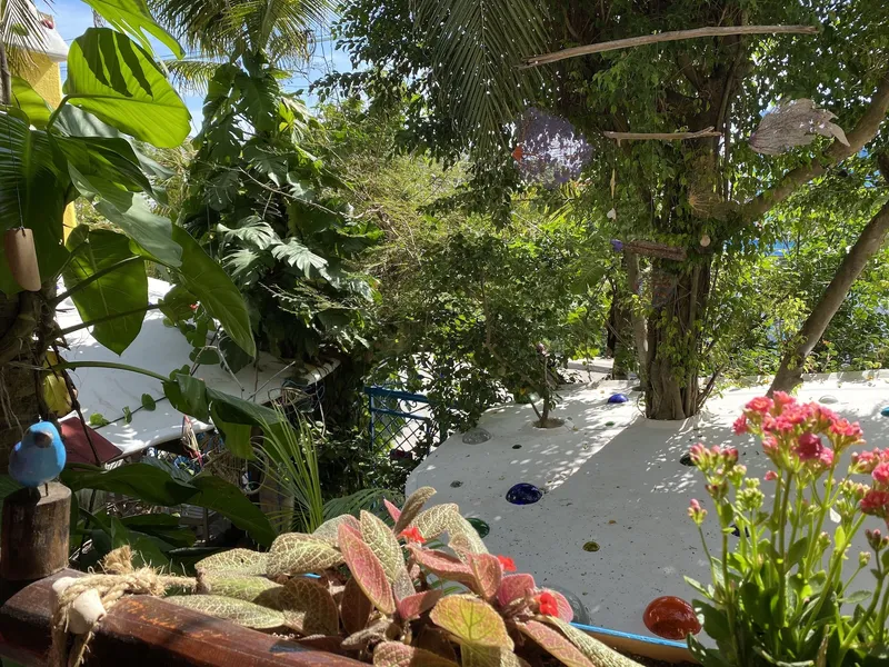 Maison Tulum hotel detail image 2
