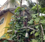 Maison Tulum hotel detail image 4