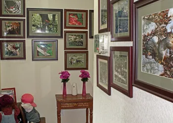 Prow'd House Bed & Breakfast hotel thumbnail 5