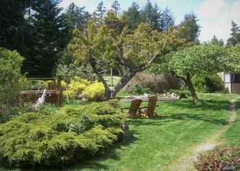 Driftwood Village hotel thumbnail 4