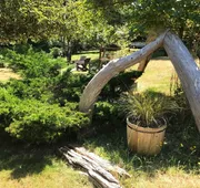Driftwood Village hotel detail image 5