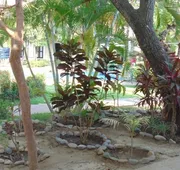 Quinta Minera hotel detail image 7