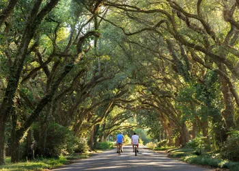 Magnolia Springs B&B hotel thumbnail 2