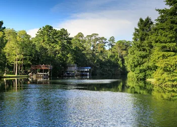Magnolia Springs B&B hotel thumbnail 4