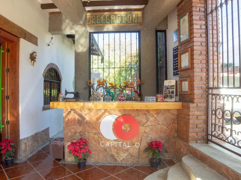 Valle Dorado hotel detail image 6