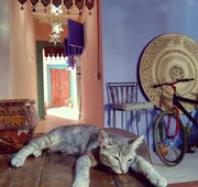 Riad Lola hotel detail image 4