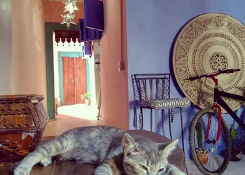 Riad Lola hotel thumbnail 4