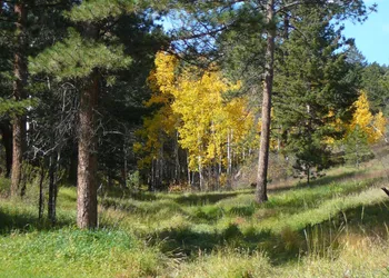 Anchorage Farm B&B hotel thumbnail 3