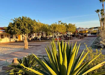 Las Palmas Hotel hotel thumbnail 6