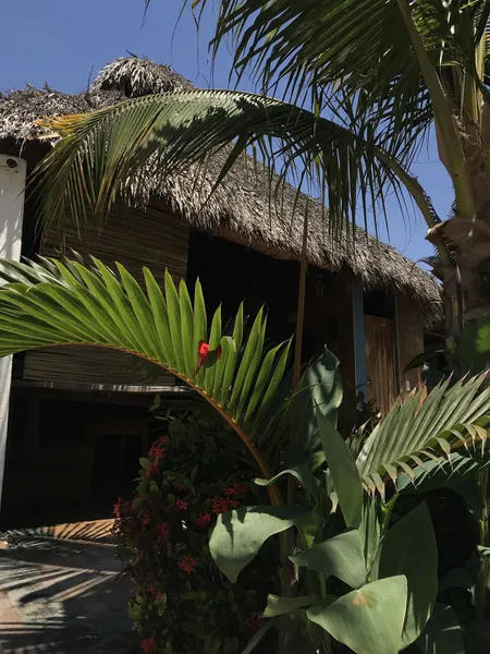 Agave del Mar hotel detail image 2