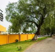 OYO Hotel Meson Del Rao hotel detail image 4