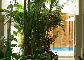Hotel López Campeche hotel thumbnail 8