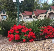 Best Court hotel detail image 5