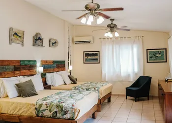 Coco Suites Cozumel hotel thumbnail 7