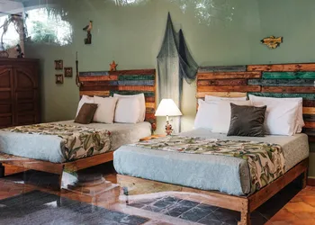 Coco Suites Cozumel hotel thumbnail 8