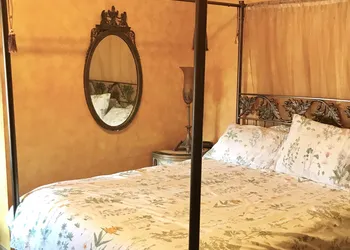 Trade Winds Bed and Breakfast hotel thumbnail 7