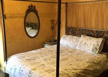 Trade Winds Bed and Breakfast hotel thumbnail 8