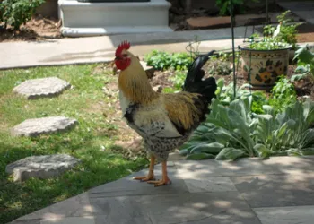 Honey Farm Bed & Breakfast hotel thumbnail 3
