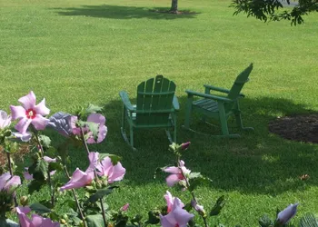 Honey Farm Bed & Breakfast hotel thumbnail 6