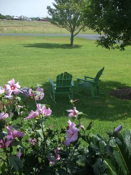 Honey Farm Bed & Breakfast hotel detail image 6