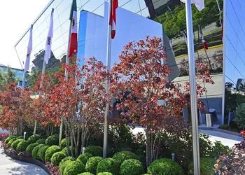 Baruk Guadalajara Hotel de Autor hotel thumbnail 5