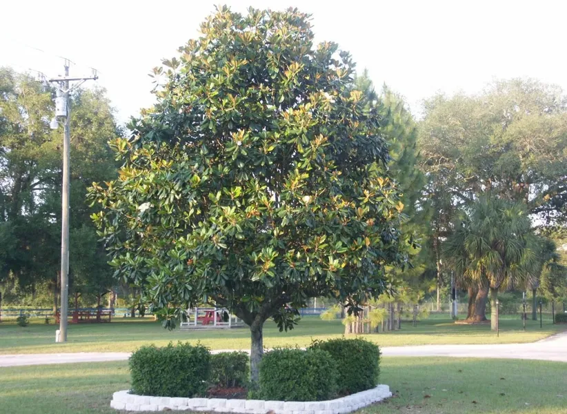 Deerwood Inn and Madison Campground hotel detail image 2