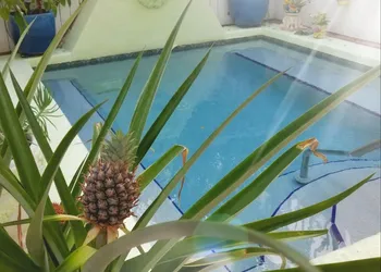 Artist House Key West hotel thumbnail 6