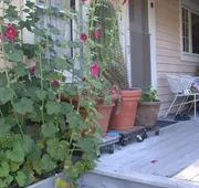 Hollyhock Country House hotel detail image 4