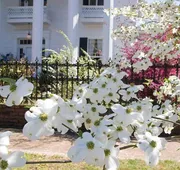 Shadowlawn Bed & Breakfast hotel detail image 5