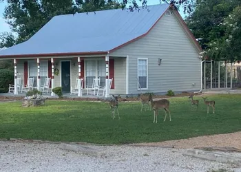 Gruene Homestead Inn hotel thumbnail 5