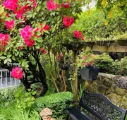Crystal's View Bed & Breakfast hotel detail image 4