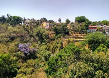 Hotel Real de Obregon hotel thumbnail 5