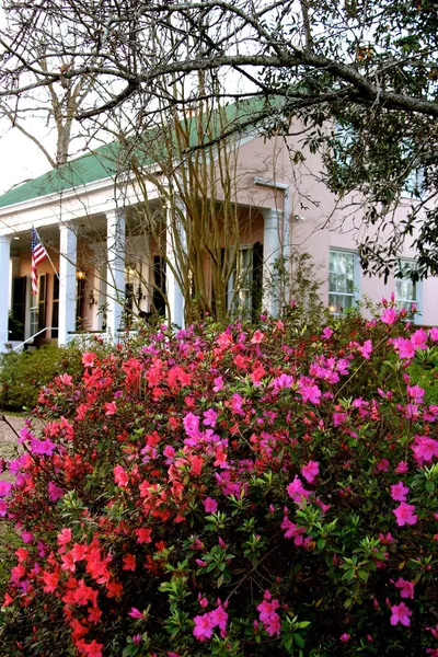 Sunnyside Bed & Breakfast hotel detail image 6