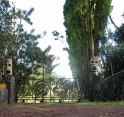 Lava Tree Tropic Inn hotel detail image 3