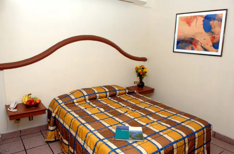 Del Real Hotel & Suites hotel detail image 6