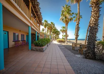 Hotel Oasis hotel thumbnail 3